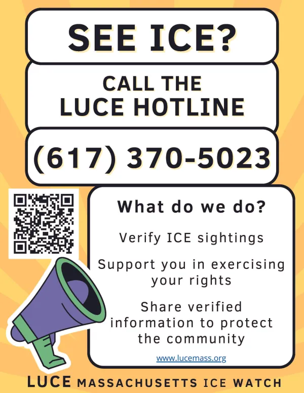 LUCE flyer
